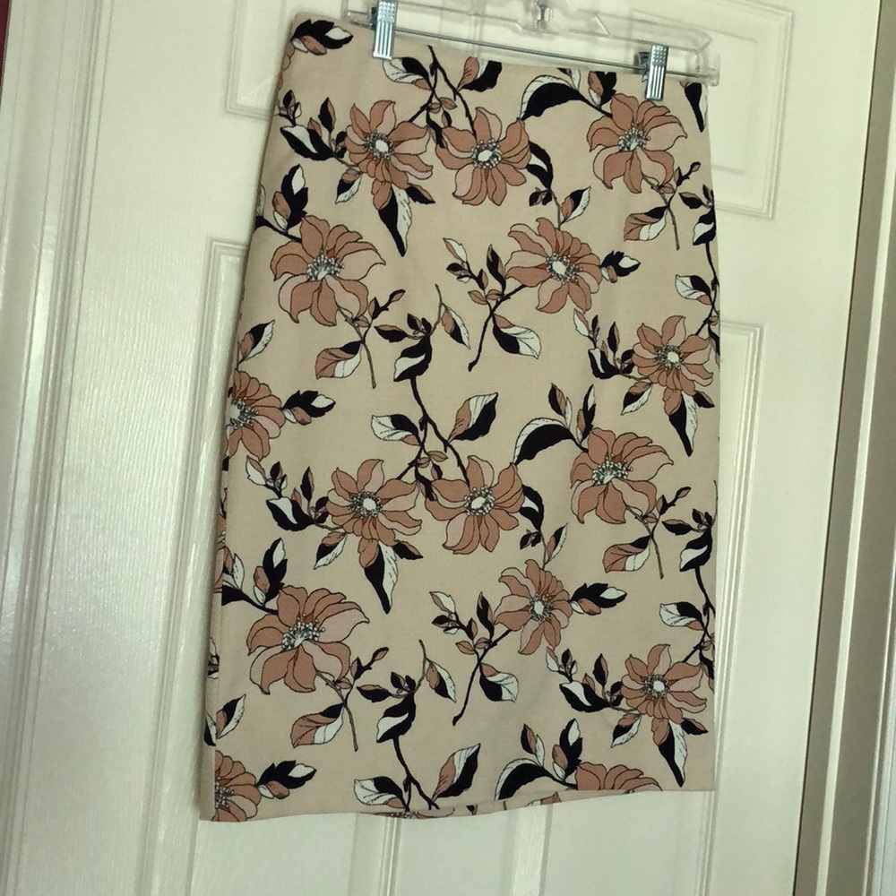 Ann Taylor skirt